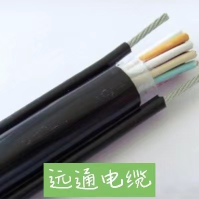 計算機控制電纜